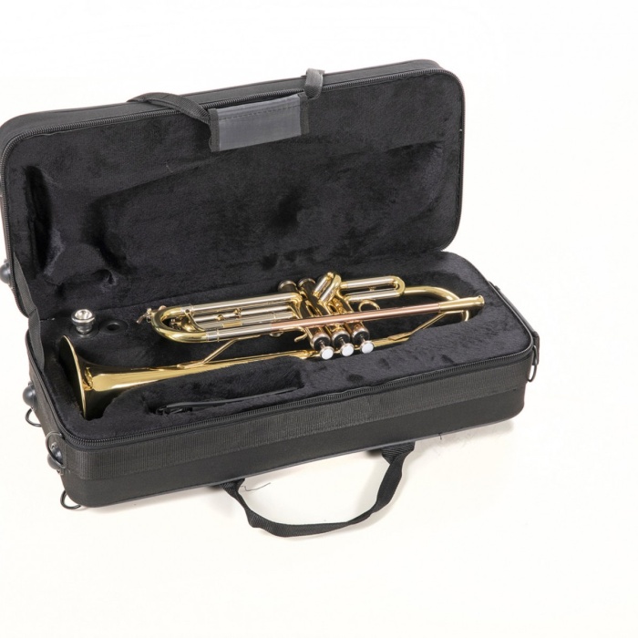 Roy Benson TR-202 Trompet