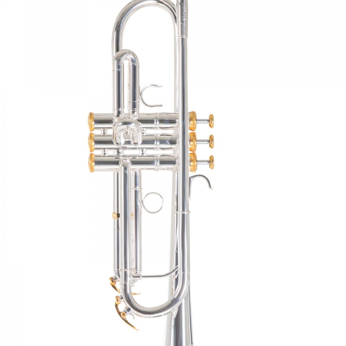 Roy Benson TR-CGS Charlie Green Signature Trompet