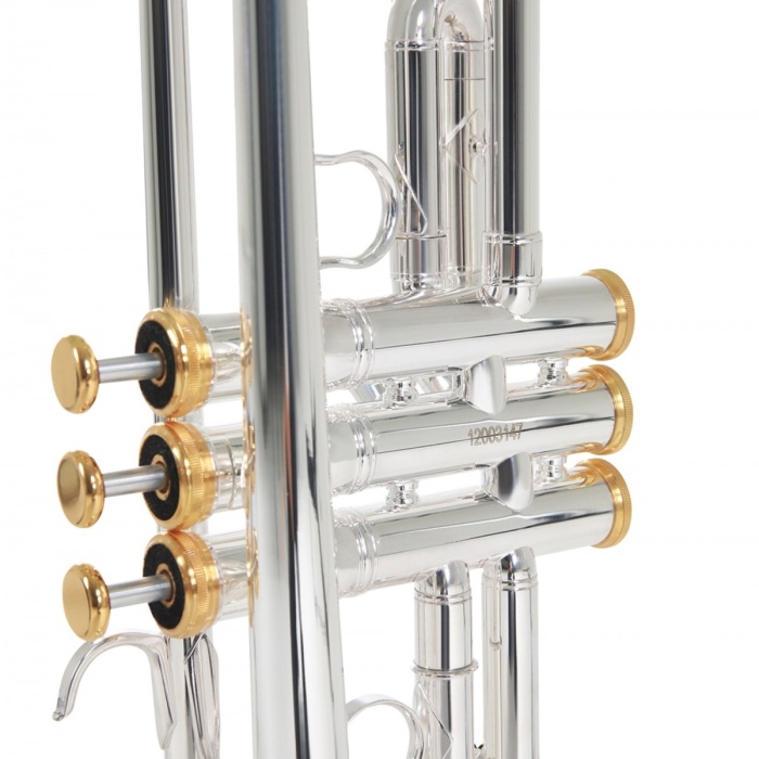 Roy Benson TR-CGS Charlie Green Signature Trompet