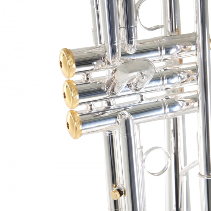 Roy Benson TR-CGS Charlie Green Signature Trompet