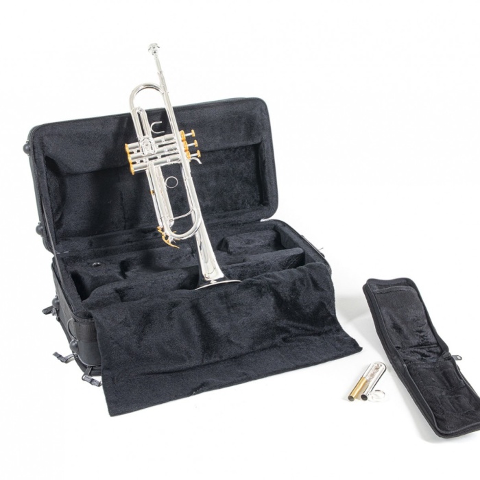 Roy Benson TR-CGS Charlie Green Signature Trompet