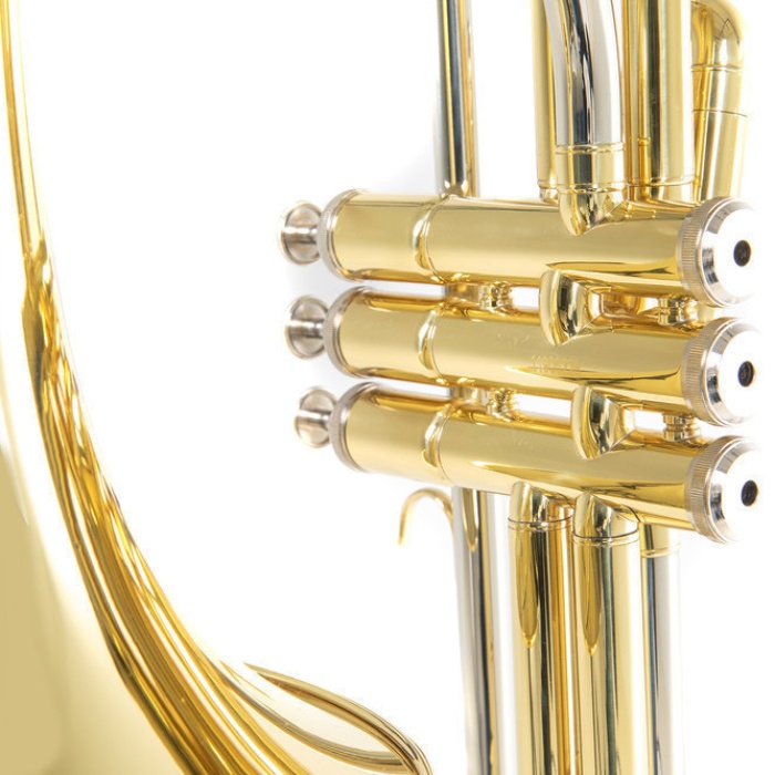 Roy Benson VT-227 Pistonlu Tenor Trombon