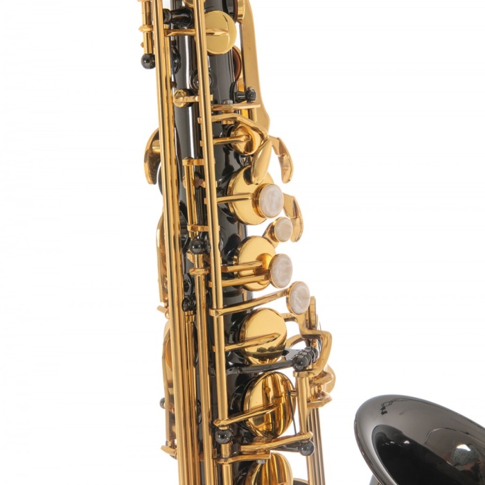 Roy Benson AS-202K Alto Saksafon