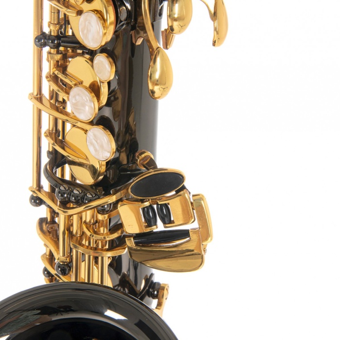 Roy Benson AS-202K Alto Saksafon