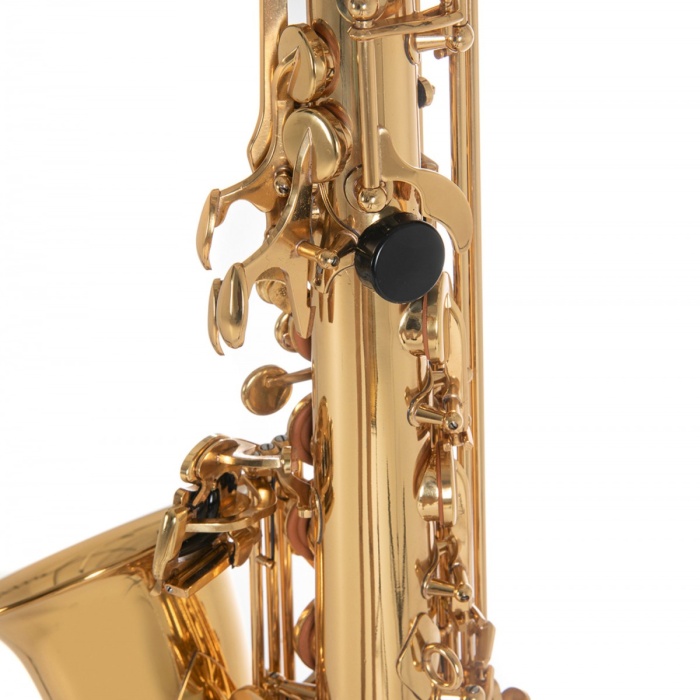 Roy Benson AS-202 Alto Saksafon