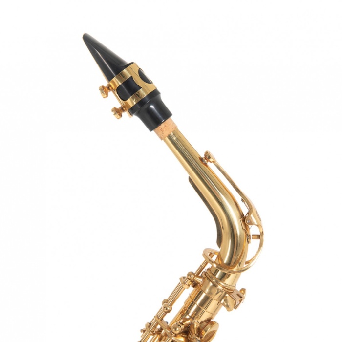 Roy Benson AS-202 Alto Saksafon