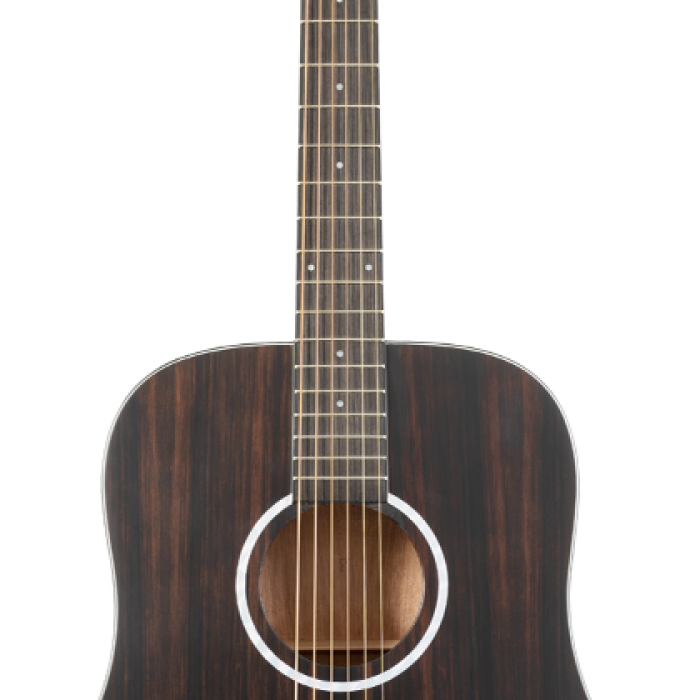 Washburn DFED Deep Forest Ebony D Akustik Gitar