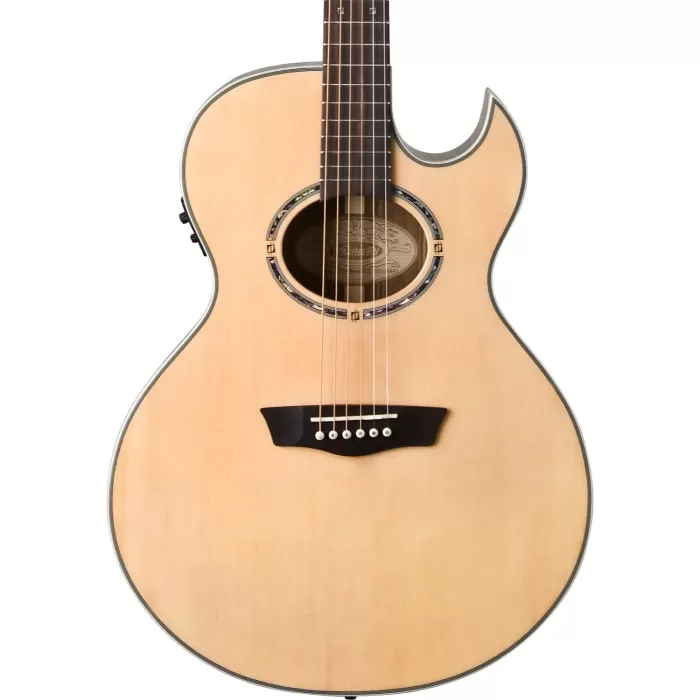 Washburn EA20S Nuno Bettencourt Signature Elektro Akustik Gitar