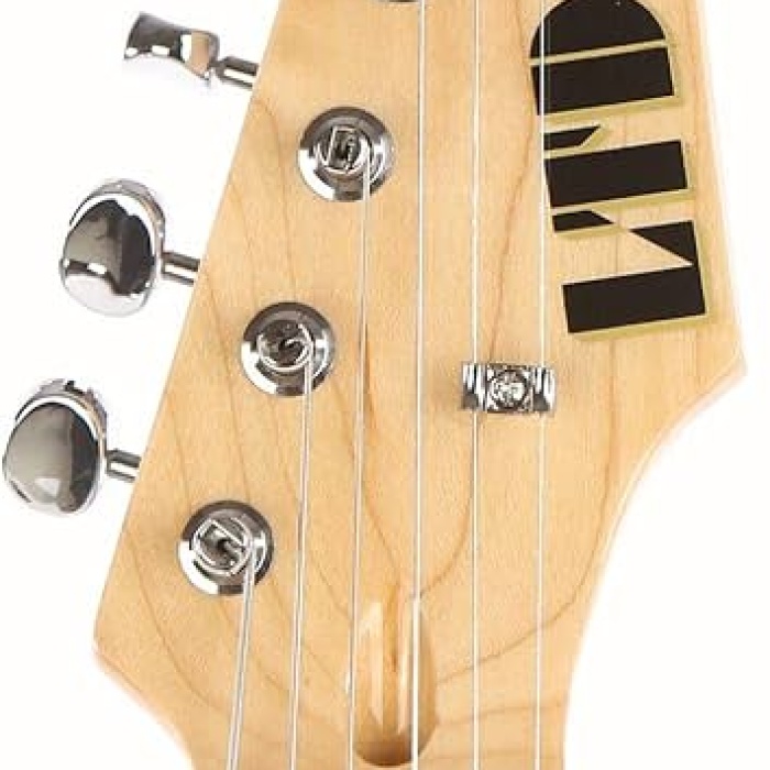 ESP LTD Ron Wood Signature Elektro Gitar