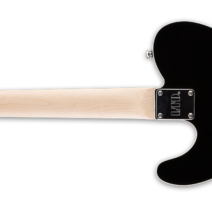 ESP LTD Ron Wood Signature Elektro Gitar