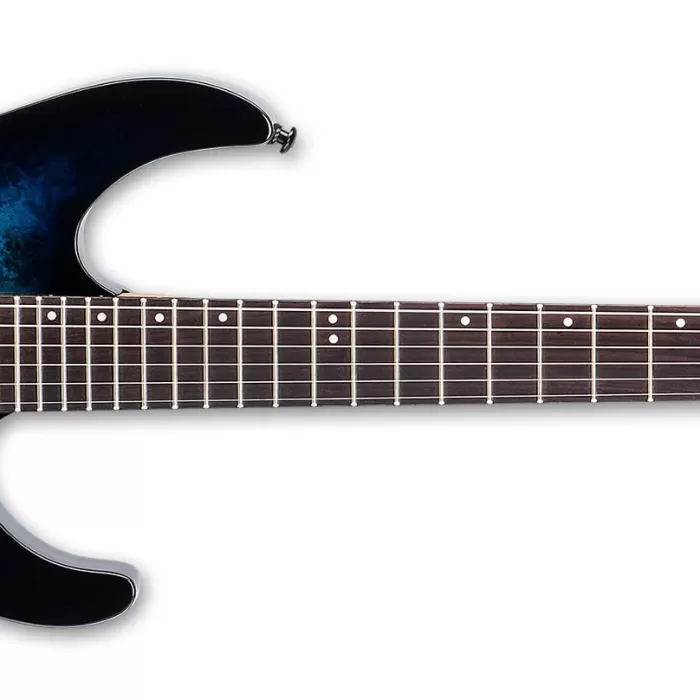 ESP LTD M-200DX NT Blue Burst Elektro Gitar