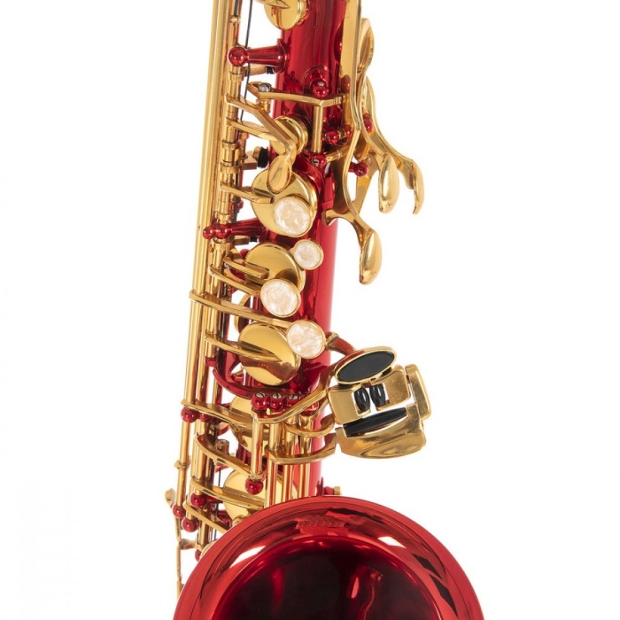 Roy Benson AS-202R Alto Saksafon