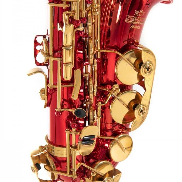 Roy Benson AS-202R Alto Saksafon