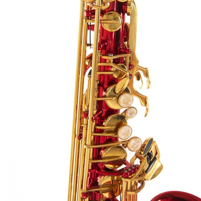 Roy Benson AS-202R Alto Saksafon