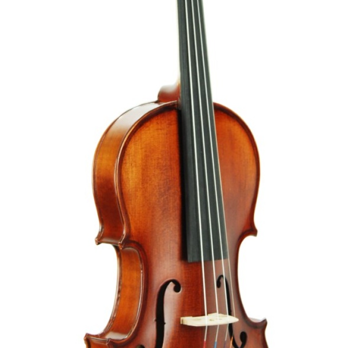 Keman Stanislava Profesyonel Abanoz STVPA44