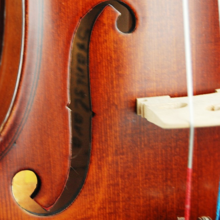 Keman Stanislava Profesyonel Abanoz STVPA44