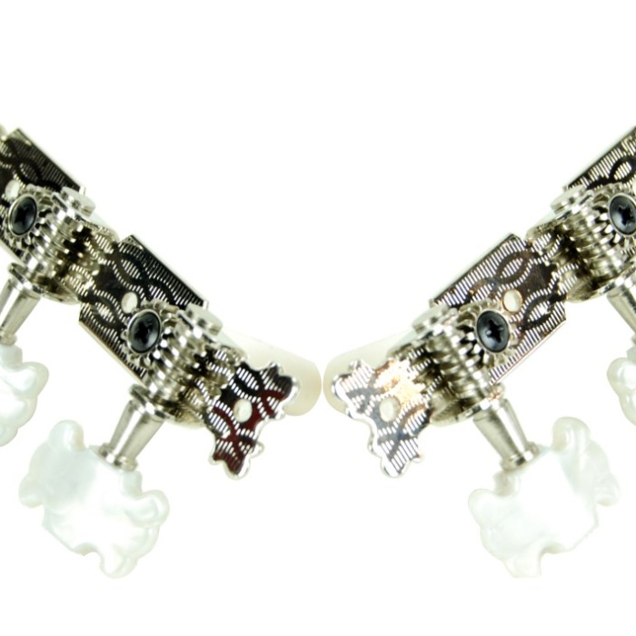 Klasik gitar Burgusu MH02C