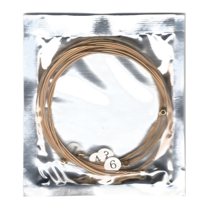 GAA50SL Akustik Gitar Teli Smiger