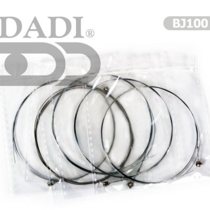 Banjo Takım Tel BJ100