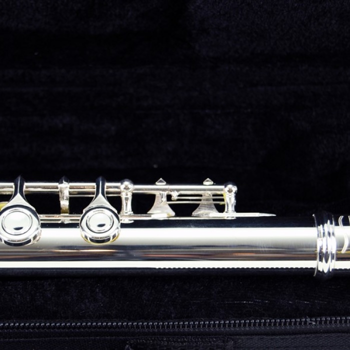 Sesenta SSF4116SV Yan Flüt (C Gümüş Kaplama) | Kapalı Perde Sistemi, Kolay Ses Çıkarma, Dayanıklı Gümüş Kaplama