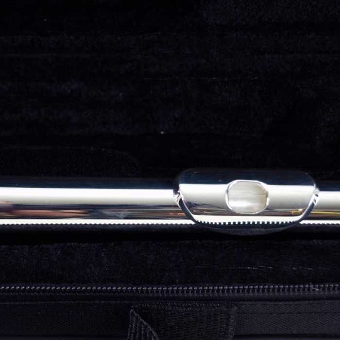 Sesenta SSF4116SV Yan Flüt (C Gümüş Kaplama) | Kapalı Perde Sistemi, Kolay Ses Çıkarma, Dayanıklı Gümüş Kaplama