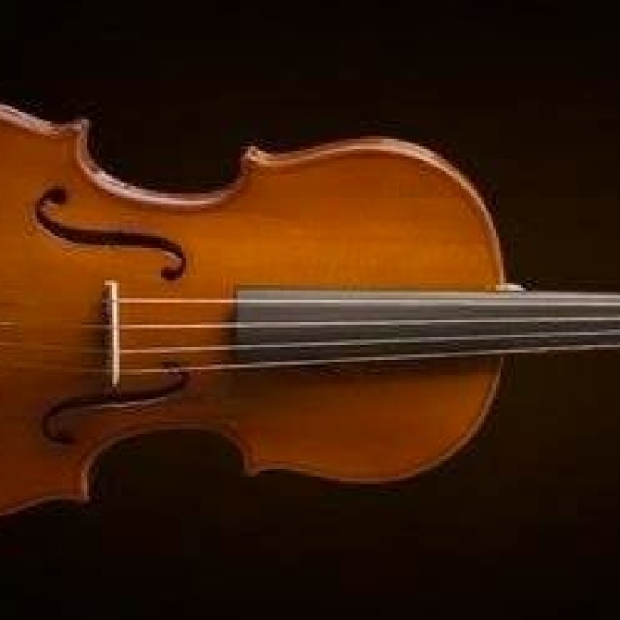 Valencia VA16041 Viyola 16 İnç (Öğrenci Seti) | 40.6 cm - Hafif Kutu - Başlangıç İçin İdeal