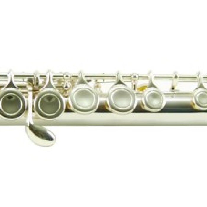 Sesenta SSF850SV Yan Flüt (Gümüş Kaplama) | Hassas Mekanizma, Zengin Ton Karakteri, Profesyonel Taşıma Çantası