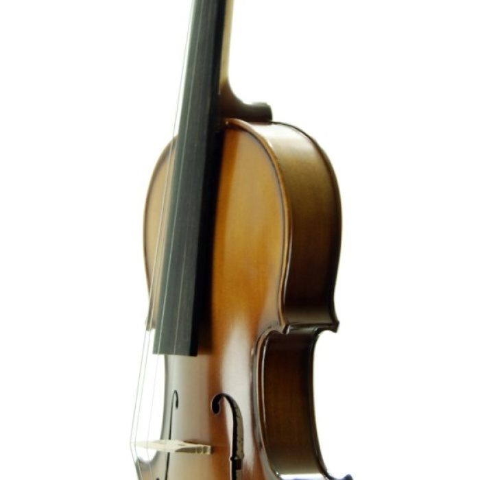 Stanislava STVM12 Keman (Mat Cila - 1/2) | Estetik Mat Bitiş, Sıcak Ton Karakteri, Eğitim İçin Optimize