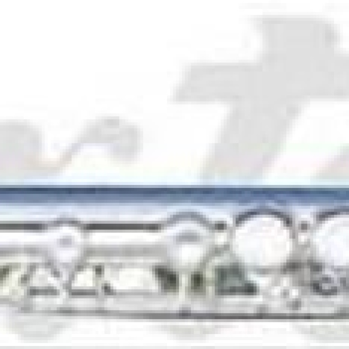 Maxtone TF48ES Yan Flüt (Silver)