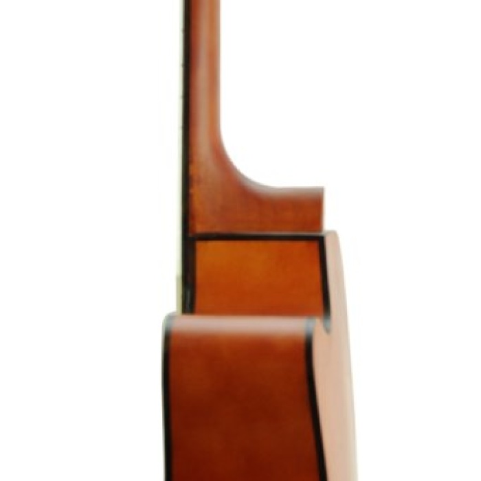 Segovia SGA41N Akustik Gitar (Cutaway Naturel) | Saf Akustik Tını, Masif Görünümlü Kapak, Her Seviyeye Uygun