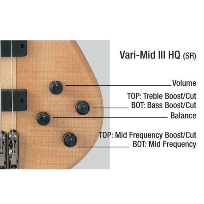 Ibanez SR1005EFMNTF SR Serisi Bas Gitar (5 Telli - Çantalı)