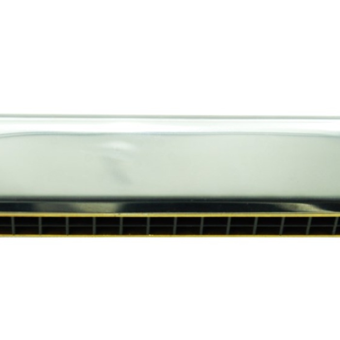 Sesenta SSHM20 Metal Mızıka (20 Delikli) | Tremolo Tonu, Paslanmaz Kapak, Cep Boyu Eğlence