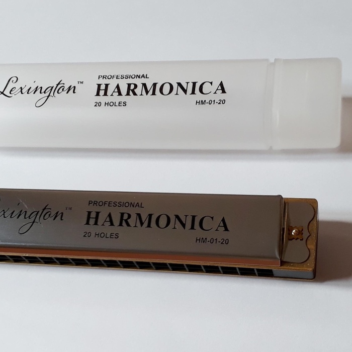 Cremonia HM0120 Profesyonel Mızıka | 20 Delikli Enstrüman