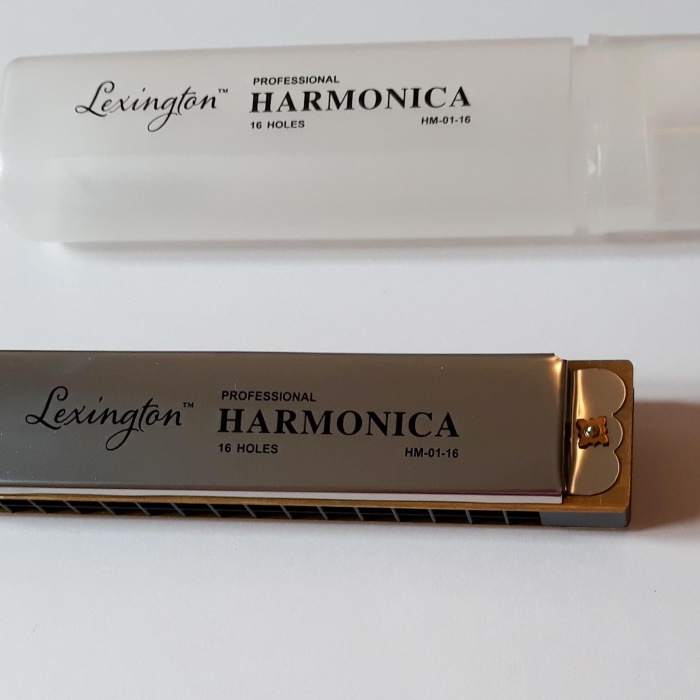 Cremonia HM0116 Profesyonel Mızıka | 16 Delikli Enstrüman