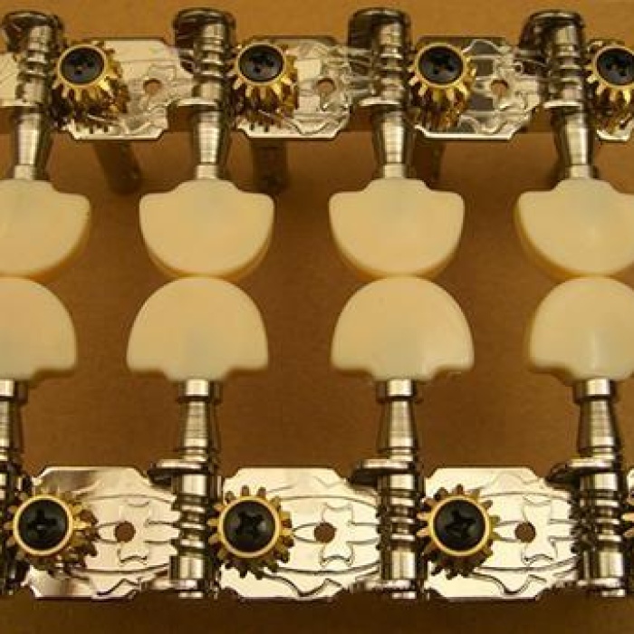 Maxtone GM40S Burgu Seti (Mandolin İçin)