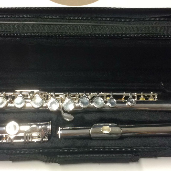 Cremonia FL4116S-E Flüt Kutusu | Korumalı Sert Taşıma Çantası