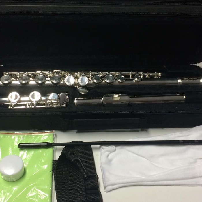 Cremonia FL4116S-E Flüt Kutusu | Korumalı Sert Taşıma Çantası