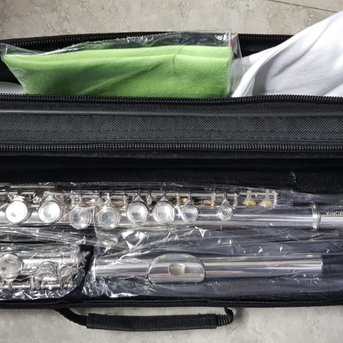 Cremonia FL4116S-E Flüt Kutusu | Korumalı Sert Taşıma Çantası