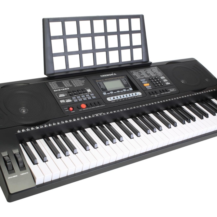 Cremonia EK61223 Elektronik Org | 61 Tuşlu Başlangıç Serisi