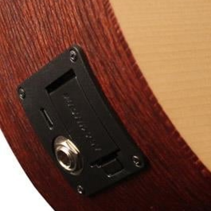 Cort EARTHMINIF-ADIRONDACK Elektro Akustik Gitar | Adirondack Kapak - Mini Kasa