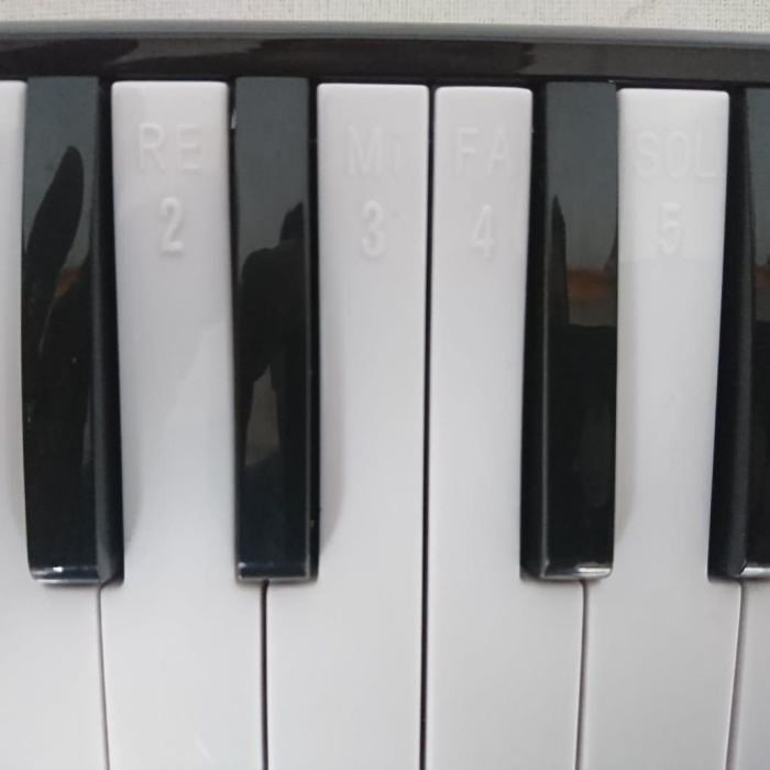 Cremonia CR32BL-12 Melodika | 32 Tuşlu Mavi - 12 Adet Paket