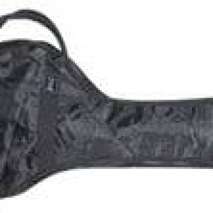 Valencia BB400 Bas Gitar Kılıfı (Standart) | Siyah Naylon - Temel Koruma - Cepli