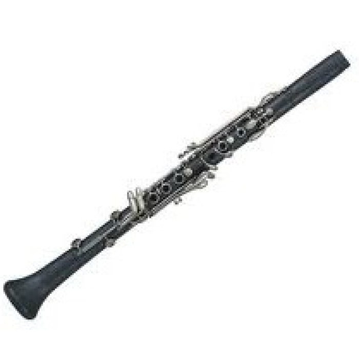 Conn LB320VNPC Leblanc Bliss Plastik Klarnet | Dayanıklı Polimer Gövde Kolay Üfleme Sağlayan Mekanizma ve Başlangıç Seviyesi İçin İdeal