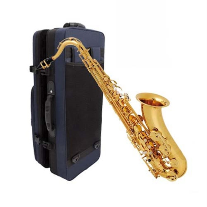 Buffet Crampon BC8101-1-0 100 Seri Alto Saksafon | Fransız Mühendisliği ile Mükemmel Entonasyon Başlangıç ve Orta Seviye İçin İdeal Tuşe Yapısı