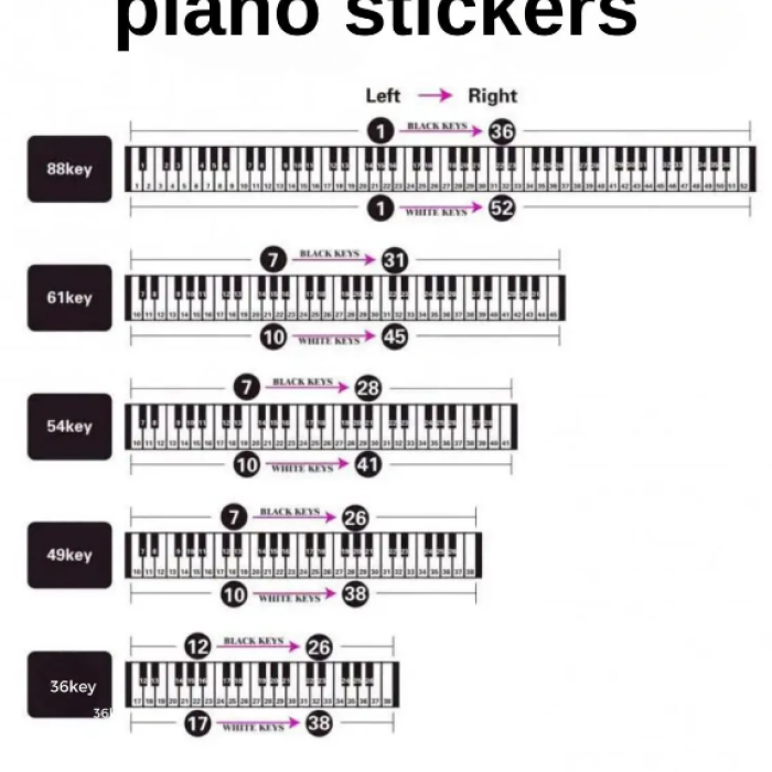 HBK Siyah Nota Etiketi (Piyano/Klavye) | 37-88 Tuş Arası Tüm Klavyeler İçin Uygun Nota Yerlerini Hızla Öğreten Şık ve Kalıcı Sticker
