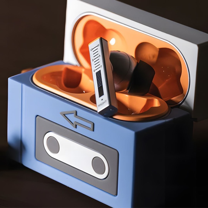 Moondrop 01 0029 Golden Ages Silikon Koruma Kılıfı | Kulaklık Kutusu İçin Tam Koruma