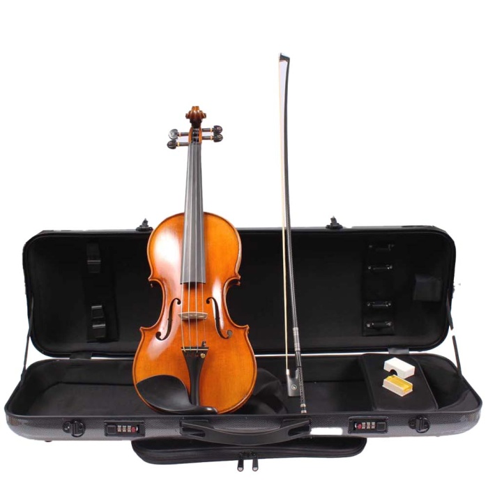 Carlovy VLA1-4/4 Keman (4/4) | Ekonomik Seri Dayanıklı Yapı