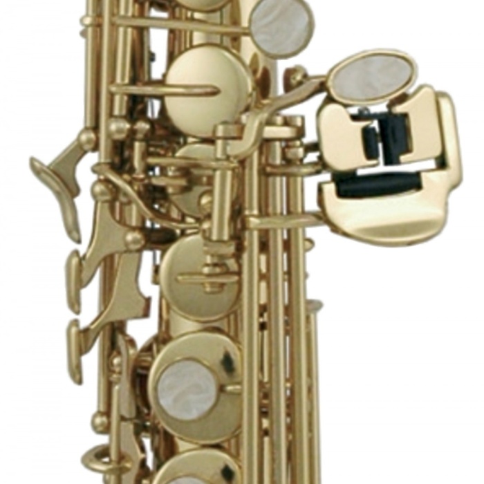 Roy Benson SS-302 Soprano Saksafon | Düz ve Kıvrık Boyun Seçeneği