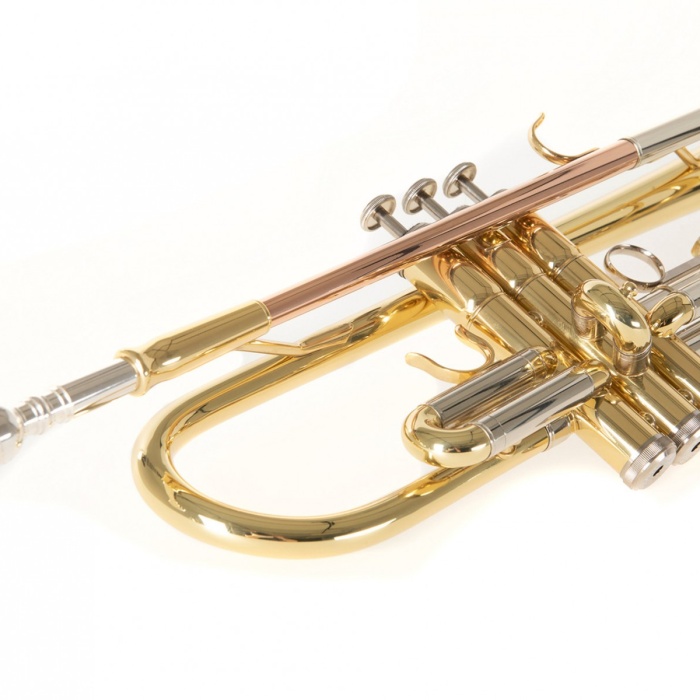 Roy Benson TR-202 Bb Trompet (Eğitim/Orta Seviye - Sarı Pirinç) | Altın Pirinç Kalak ve Ağızlık Borusu, Paslanmaz Çelik Pistonlar, Ayarlanabilir Parmak Yüzüğü | Uyum: Bando ve Başlangıç Seviyesi Orkestra