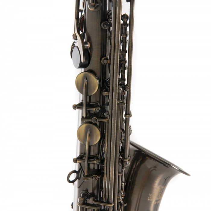 Roy Benson AS-202A Alto Saksafon (Antik) | Eskitilmiş Bronz Vintage Tarz